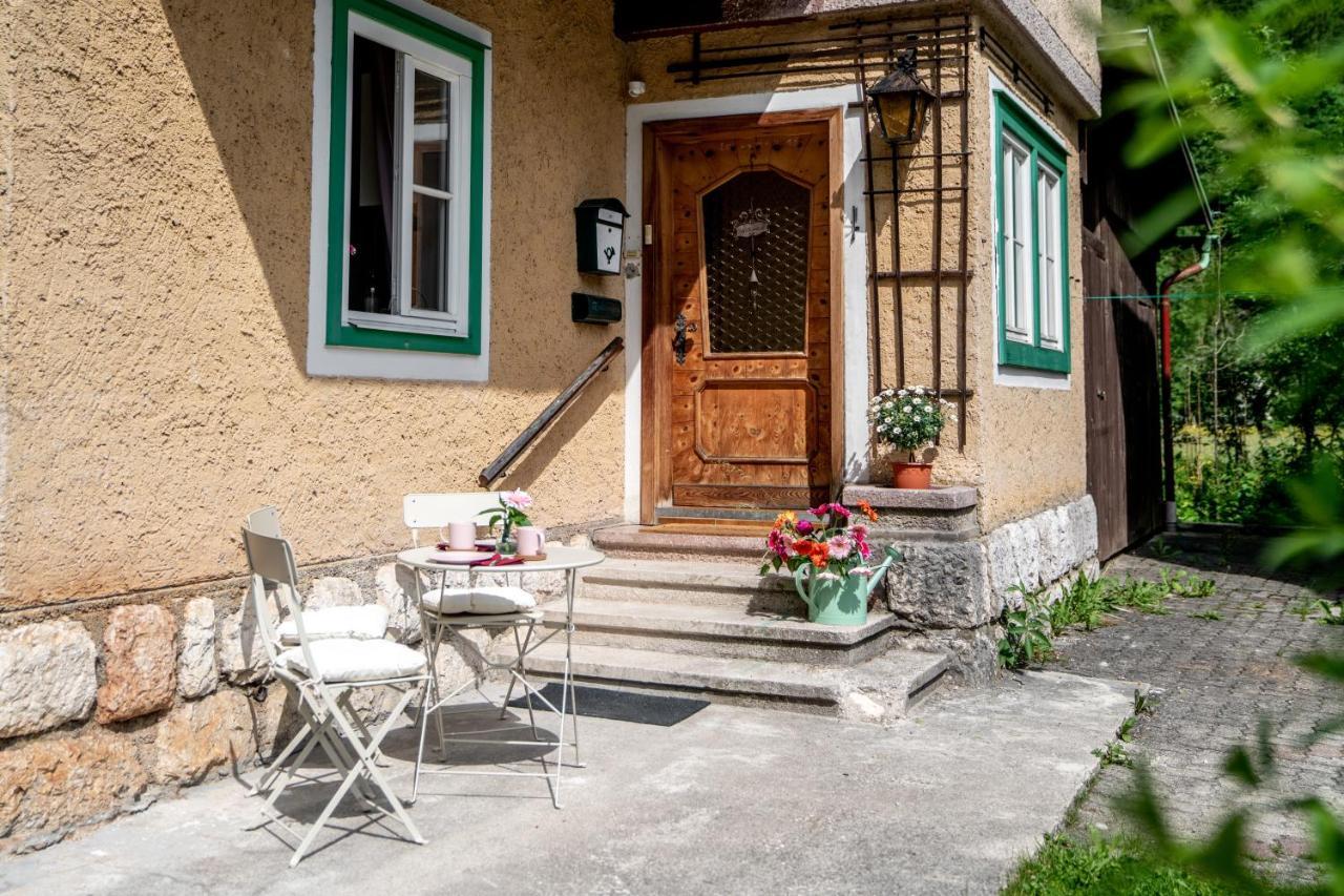 Family Hideaway Mit Baby- Und Kleinkindausstattung Apartment Hallstatt Luaran gambar